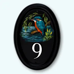 Kingfisher Portrait - B51b