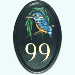 Kingfisher Portrait - B53e