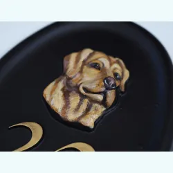 Labrador Head Close Up - D68a-1