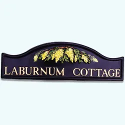 Laburnum - F67c