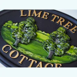 Lime close-up. - T25a-2