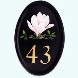 Magnolia Portrait - F78c