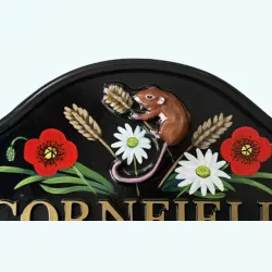 Mouse On Corn Close Up - A52a-close