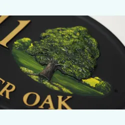 Oak Close Up - T28b-1