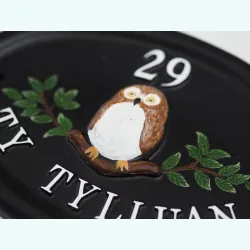 Owl Close Up - B70a-close