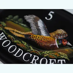 Pheasant Close Up - B90a-1