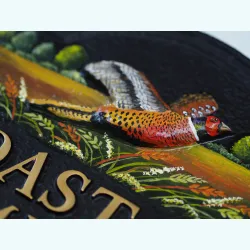 Pheasant Close Up - B90b-close