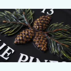 Pine Cones close-up. - F94a-2