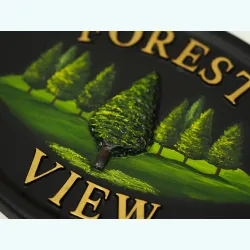 Pine Small close-up. - T36a-2