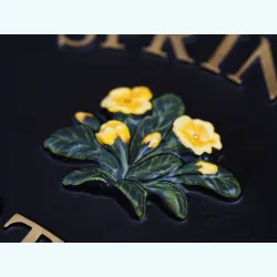 Primrose Close Up - F101a-1