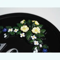 Primrose Close Up - F100c-close