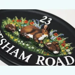 Rabbits Close Up - A66a-1