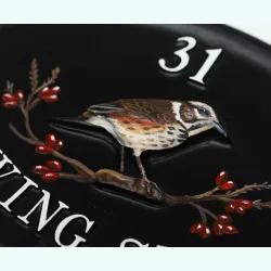Redwing Close Up - B103a-close