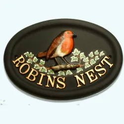 Robin - B104b