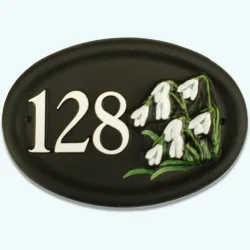 Snowdrop - F120b