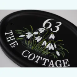Snowdrops Close Up - F120a-close