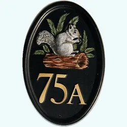 Squirrel - A80b