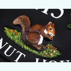 Squirrel With Acorns Close Up - A82a-close
