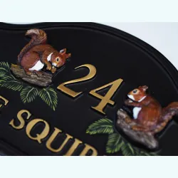 Squirrels Split Close Up - A84a-1