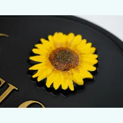 Sunflower Split Close Up - F127e-close