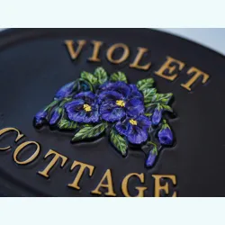 Violets Split close-up. - F135a-2
