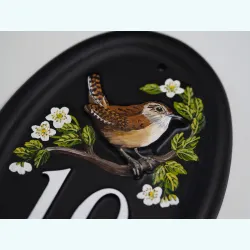 Wren Close Up - B130a-close