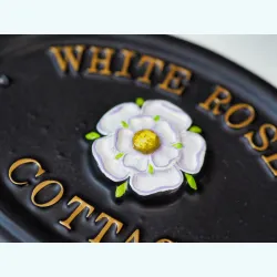 Yorkshire Rose close-up. - F154a-2