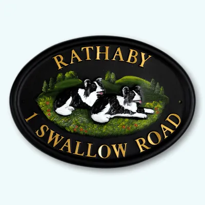Product Border Collies Laying Image