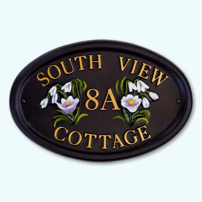 Product Crocus & Snowdrops Image