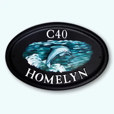 Product Dolphin Image