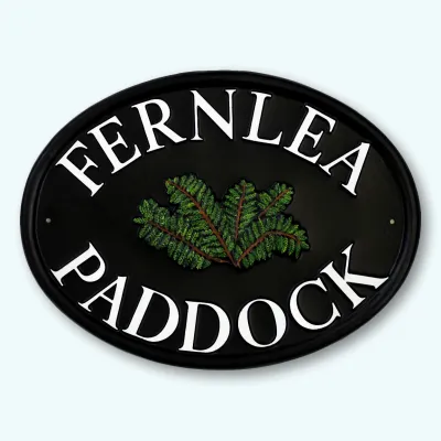 Product Ferns Image