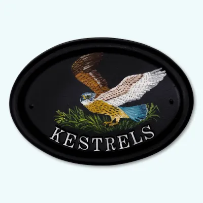 Product Kestrel Flat Painted Image