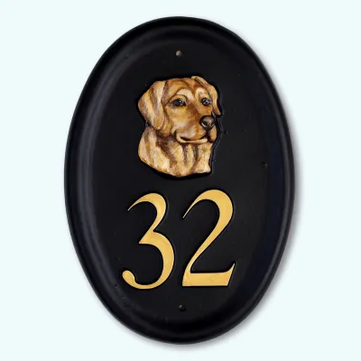 Product Labrador Head Image