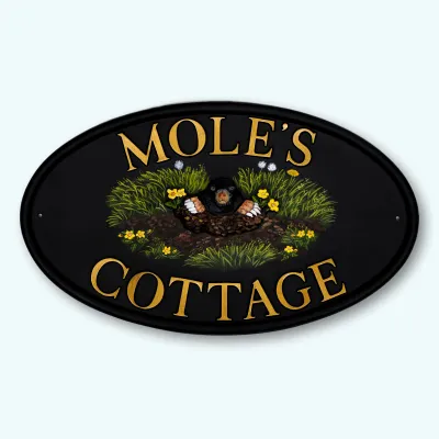 Product Mole Image