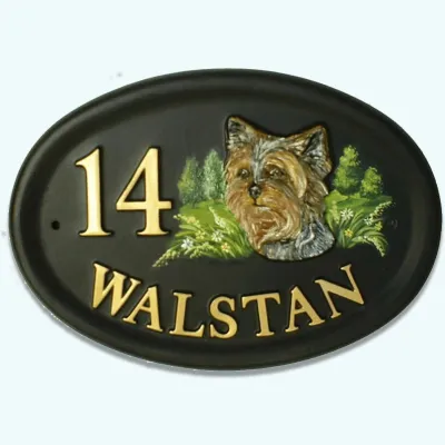 Product Yorkshire Terrier Head Image